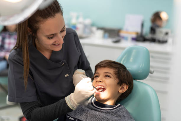 Best Emergency Dental Services for Seniors in Pingree Grove, IL